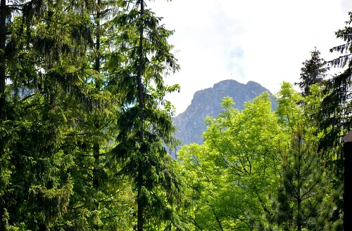 Utsikt över bergen från vandrarhemmet